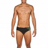 M ALTAIR BRIEF