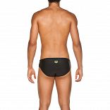 M ALTAIR BRIEF
