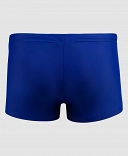 Arena Logo Kids Boy Short