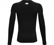 UA HG Armour LS