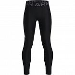 UA HG Armour Leggings