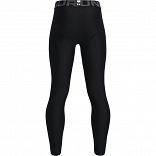 UA HG Armour Leggings