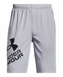 UA Prototype 2.0 Logo Shorts