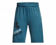 UA Prototype 2.0 Logo Shorts