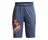 UA Prototype 2.0 Logo Shorts
