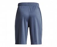 UA Prototype 2.0 Logo Shorts