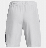 UA Tech Woven Graphic Short