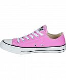 CHUCK TAYLOR ALL STAR SEASONAL