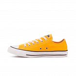 CHUCK TAYLOR ALL STAR SEASONAL