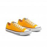 CHUCK TAYLOR ALL STAR SEASONAL