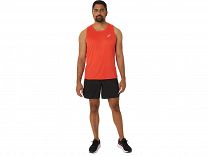 CORE SINGLET