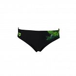 ARENA UNIVERSE JR BRIEF