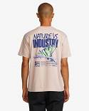 NATURAL SCIENCE SS