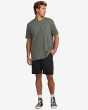 LIZARD MOUNTAIN ADIV SS