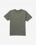 LIZARD MOUNTAIN ADIV SS