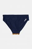 ARENA BRAZIL JR BRIEF