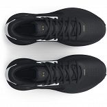 UA Lockdown 6