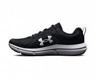 UA BGS Assert 10