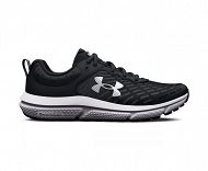 UA BGS Assert 10