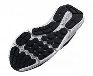 UA BGS Assert 10