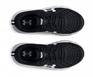 UA BGS Assert 10
