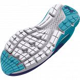 UA BGS Charged Rogue 3 F2F