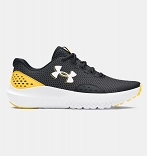 UA BGS Surge 4