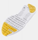 UA BGS Surge 4
