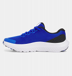 UA BGS Surge 4