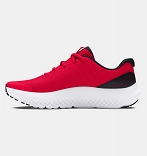 UA BGS Surge 4