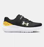 UA BPS Surge 4 AC