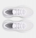UA Infinite
