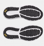 UA Charged Rogue 5