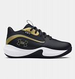 UA PS Lockdown 7