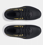 UA PS Lockdown 7
