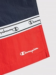 Beachshort