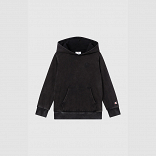 Champion Hooded Sweatshirt