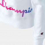 Champion Hood
