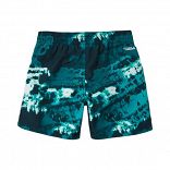 HORIZON SHORTS