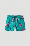 PRINT SHORTS