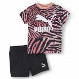Minicats Classics Set
