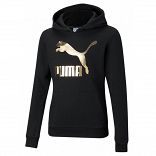 Classics Logo Hoodie G