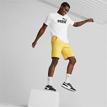 ESS Shorts 10" (s)