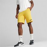 ESS Shorts 10" (s)