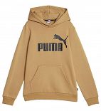 ESS Big Logo Hoodie FL B