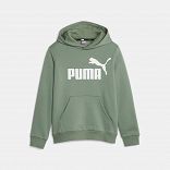 ESS Big Logo Hoodie FL B