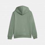 ESS Big Logo Hoodie FL B