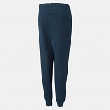 ESS+ 2 Col Logo Pants FL cl B