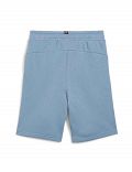 ESS+ 2 Col Shorts TR B