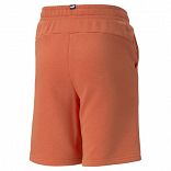 ESS+ 2 Col Shorts TR B